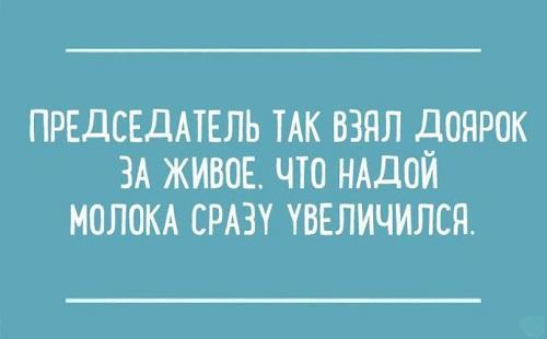 Подробнее о статье Веселые сочинения (картинки)