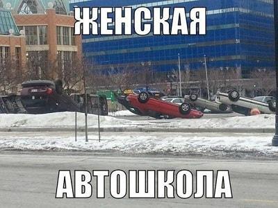 веселые шутки в картинках