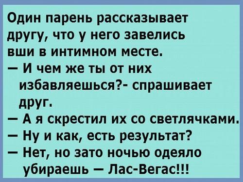 веселые шутки в картинках