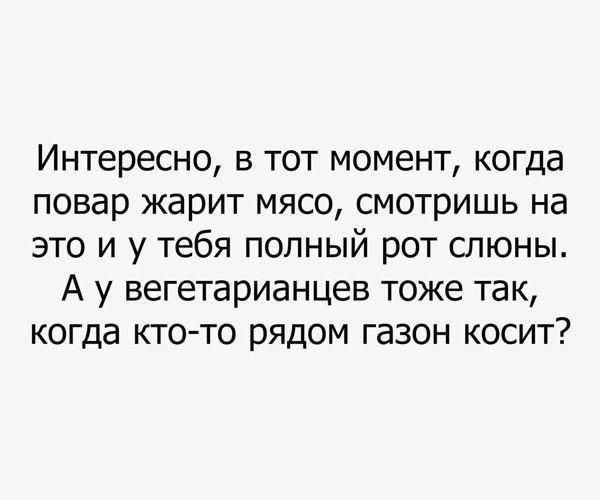 Подробнее о статье Задорные шутки в картинках