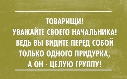 Подробнее о статье Картинки с очень смешными цитатами