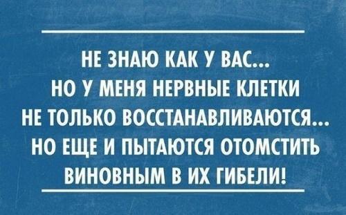 Картинки с прикольными до слез цитатами