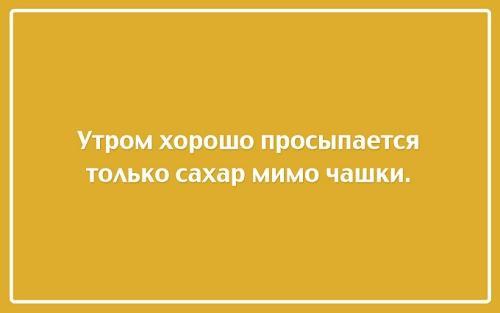 Подробнее о статье Картинки с прикольными и смешными цитатами