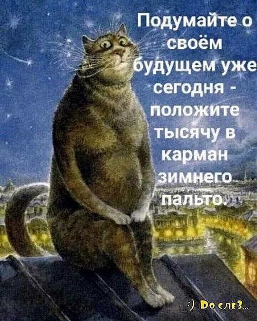 Очень смешные коты