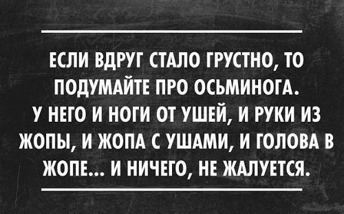 Картинки с прикольными и смешными цитатами