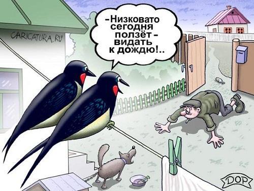 Скачать прикольные картинки и карикатуры