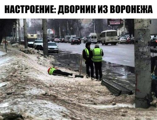 Смешные до слез фото