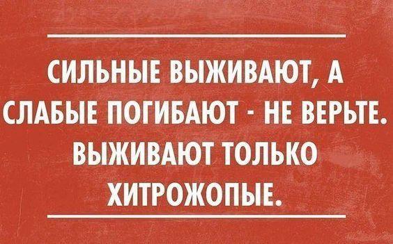 короткие прикольные смешные статусы со смыслом