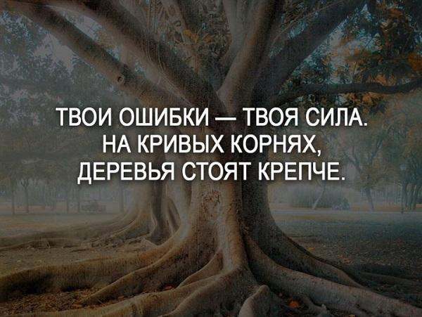 Подробнее о статье Мудрые цитаты о жизни великих людей