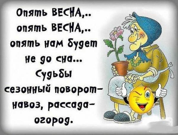 Подробнее о статье Прикольные стихи разные