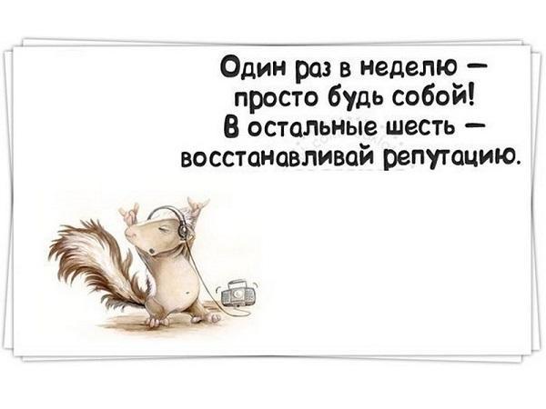 Подробнее о статье Смешные до слез статусы про себя