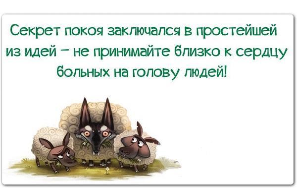 Подробнее о статье Прикольные короткие цитаты со смыслом