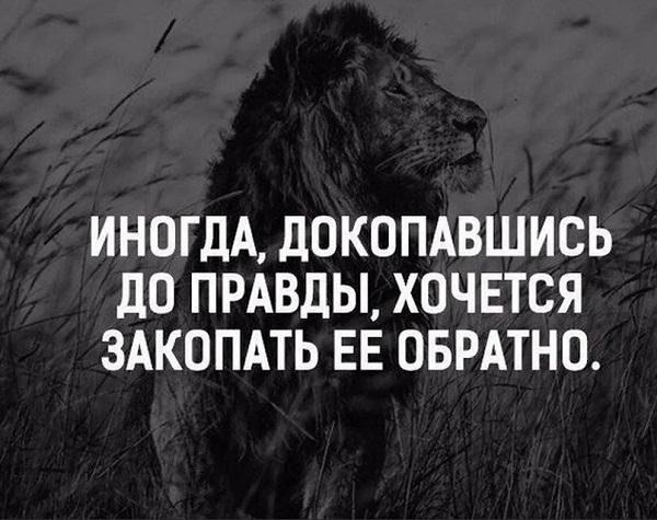 Подробнее о статье Смешные короткие цитаты со смыслом