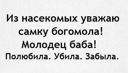 Подробнее о статье Смешные и ржачные короткие статусы