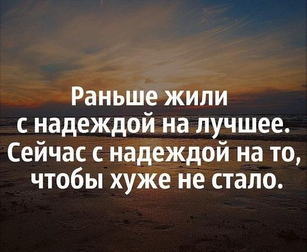 Подробнее о статье Смешные короткие цитаты про жизнь