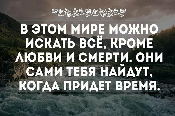 Подробнее о статье Красивые цитаты про смысл жизни