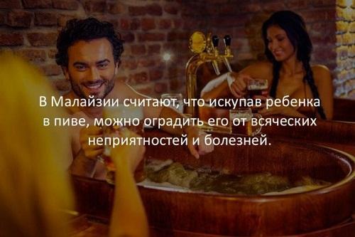 Смешные необычные факты