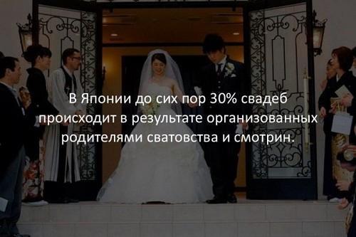 Смешные интересные факты