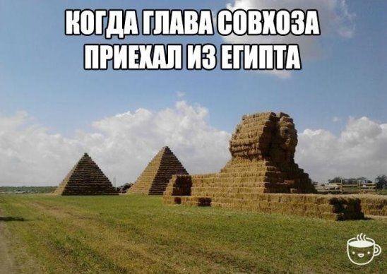 Самые смешные картинки с надписями