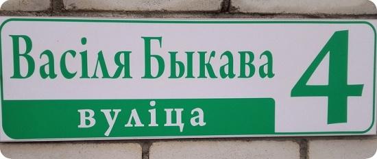 улица василя быкова