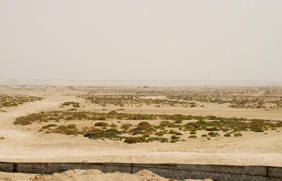 бахрейн пустыня