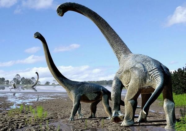 Подробнее о статье Интересные факты о динозаврах