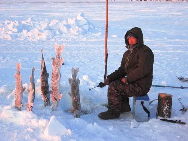 рыбалка в море лаптевых