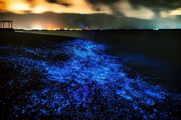 свечение воды в черном море