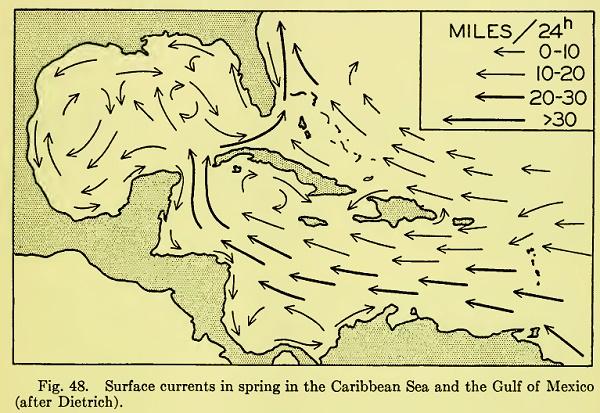 течения карибского моря