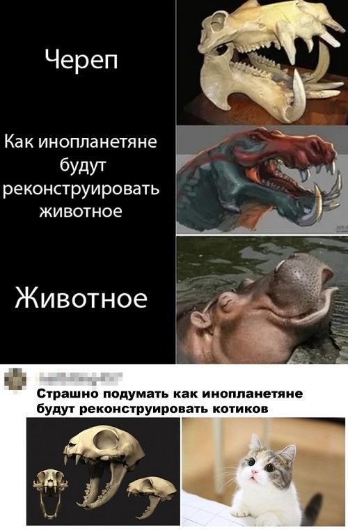 Юмор на картинках с надписями