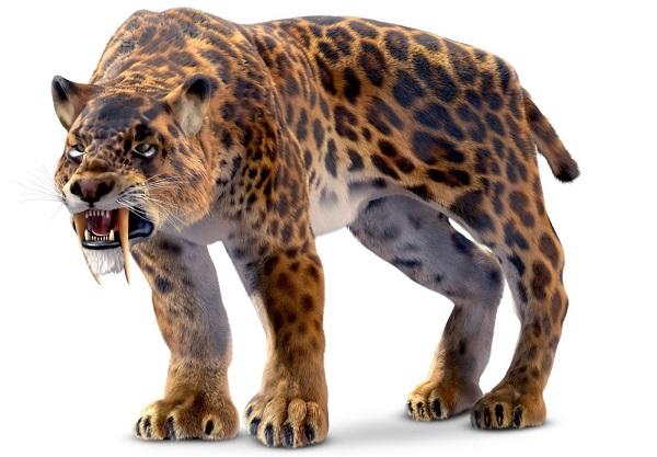 предок леопарда