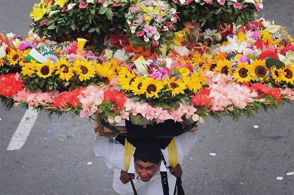 колумбия букет цветов