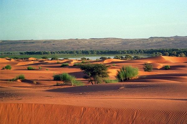 мавритания равнины