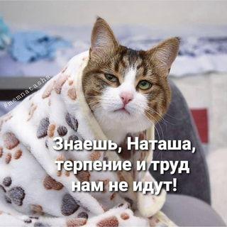 Смотреть самые смешные и убойные картинки с надписями