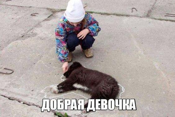 Смотреть лучшие классные картинки с надписями Подробнее о статье Смотреть лучшие классные картинки с надписями