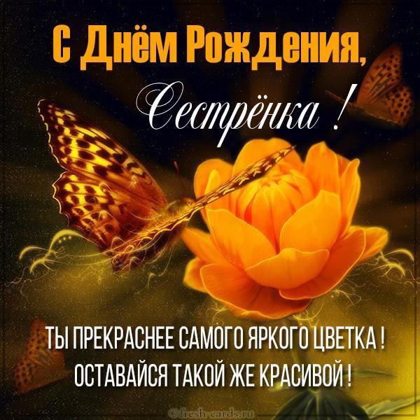 Красивые тосты на День Рождения сестре Подробнее о статье Красивые тосты на День Рождения сестре