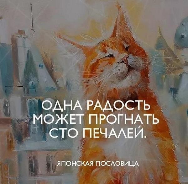 цитаты и фразы про радость