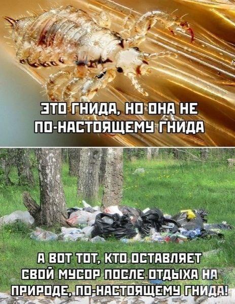 прикольные картинки про марихуану прикольные картинки про марихуану