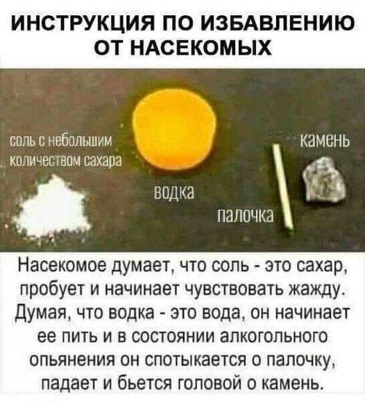 Самые смешные и прикольные картинки с надписями