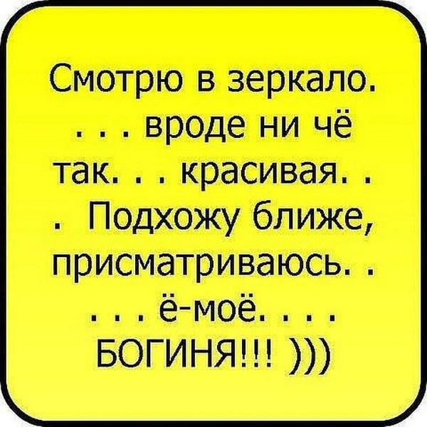 Подробнее о статье Смешные до слез и ржачные статусы