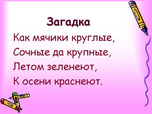 Подробнее о статье Смс загадки