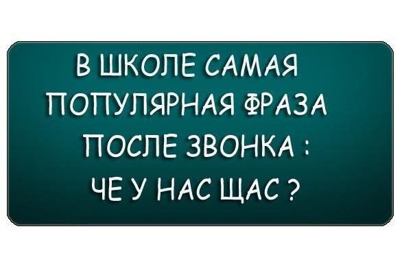 Подробнее о статье Ржачные статусы про школу