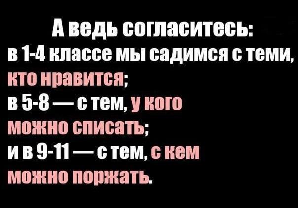 смешные до слез статусы про школу