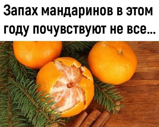 Прикольные до слез и забавные картинки с надписями