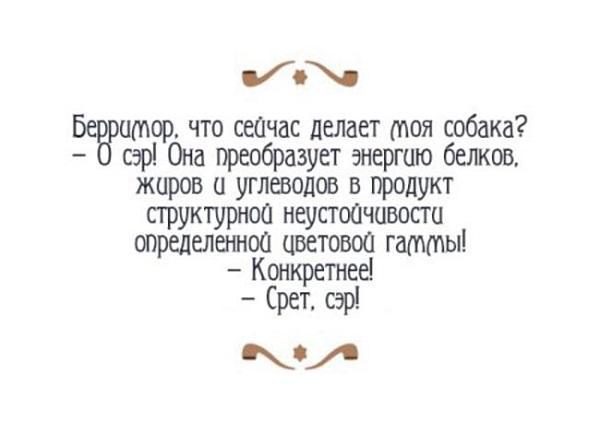 Подробнее о статье Английский юмор в шутках и анекдотах