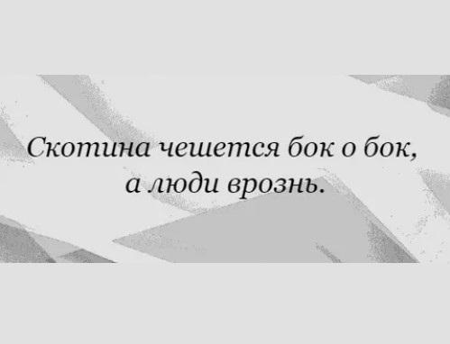 Подробнее о статье Пословицы и поговрки про бока