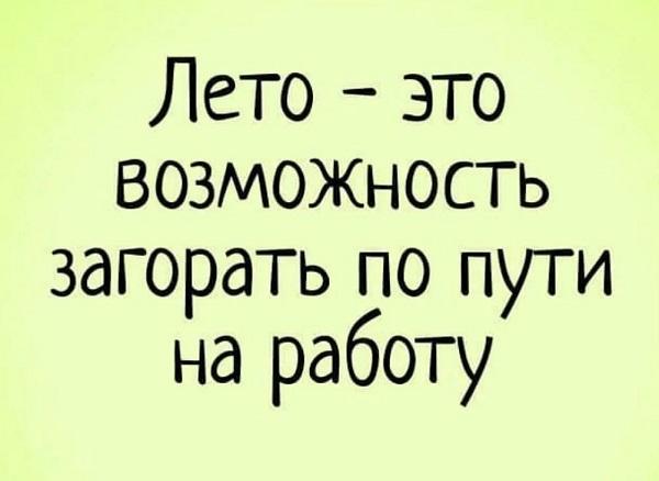 Подробнее о статье Самые смешные статусы про лето