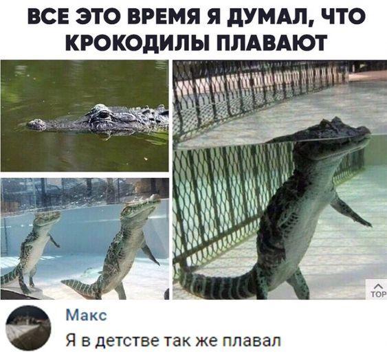 Ржачные и убойные картинки с надписями