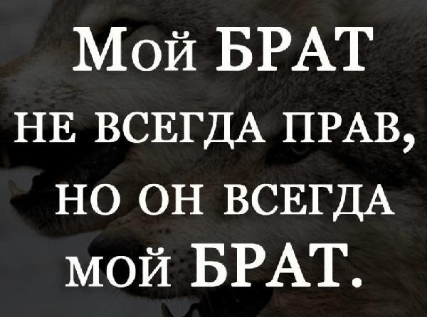 Подробнее о статье Интересные статусы про брата