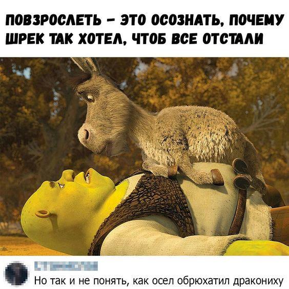 Убойные и прикольные картинки с надписями